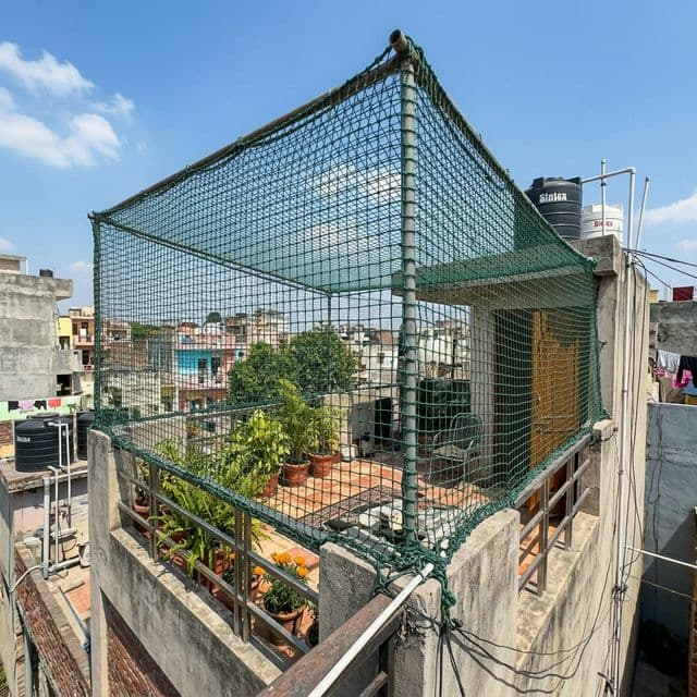 Monkey Safety Nets in Cox Town